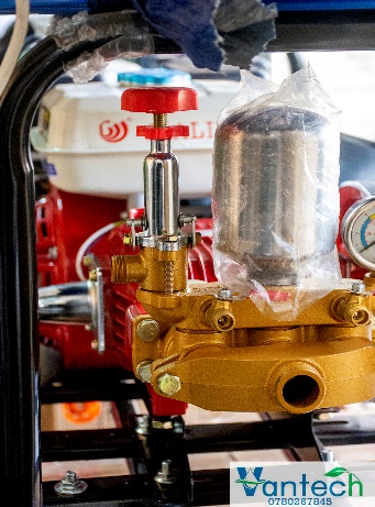 Movable tankless sprayer